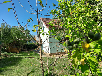 Prodej chaty / chalupy 62 m², Tehov