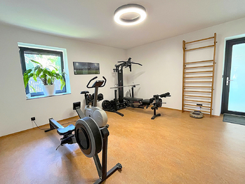 Ftiness místnost - Prodej domu 369 m², Praha 4 - Kamýk