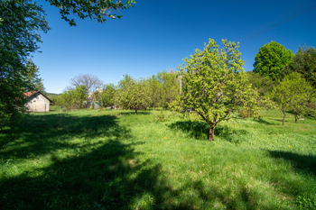 Prodej chaty / chalupy 50 m², Mikulůvka