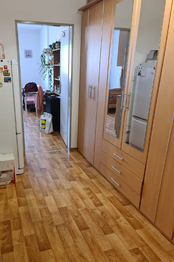 Prodej bytu 1+kk v osobním vlastnictví 40 m², Holubice