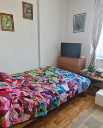 Prodej bytu 1+kk v osobním vlastnictví 40 m², Holubice