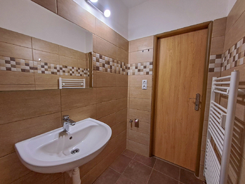 koupelna - Pronájem bytu 3+1 v osobním vlastnictví 69 m², České Budějovice