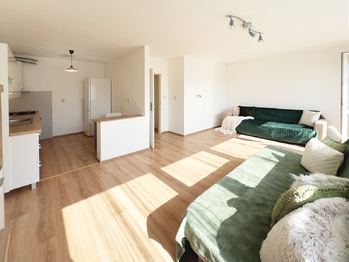 Pronájem bytu 1+kk v osobním vlastnictví 45 m², Říčany