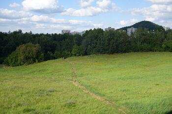 Pronájem bytu 2+kk v osobním vlastnictví 36 m², Česká Lípa