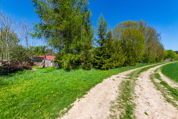 41. Pohled z polní cesty ke druhému vjezdu na zahradu z jižní strany - Prodej chaty / chalupy 210 m², Široký Důl