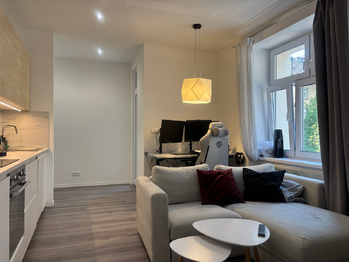 Pronájem bytu 2+kk v osobním vlastnictví 50 m², Praha 3 - Žižkov