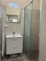 Pronájem bytu 2+kk v osobním vlastnictví 50 m², Praha 3 - Žižkov