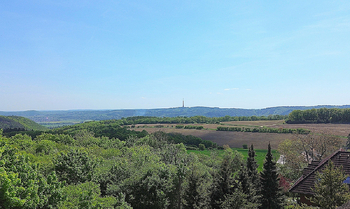 Pohled do okolí - Prodej domu 387 m², Vonoklasy