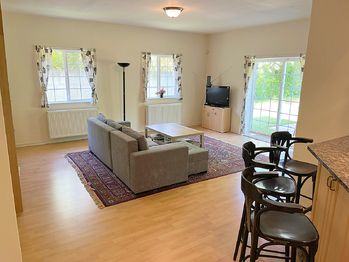 Obývací místnost - Prodej domu 387 m², Vonoklasy