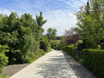 Příjezdová komunikace - Prodej domu 387 m², Vonoklasy