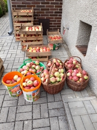 Plody zahrádky :-) - Prodej domu 75 m², Lhota pod Radčem