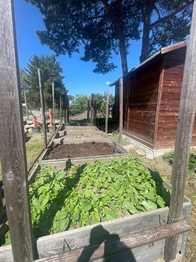 Prodej domu 114 m², Dolní Třebonín