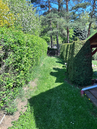 Prodej chaty / chalupy 48 m², Ústí nad Labem