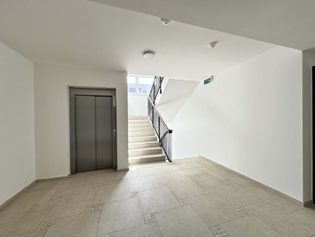 Pronájem bytu 1+kk v osobním vlastnictví 38 m², Kladno