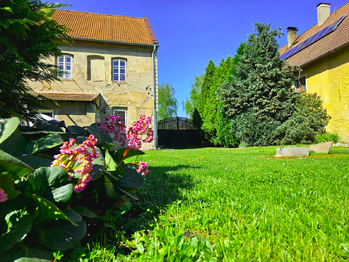 Prodej domu 230 m², Libočany
