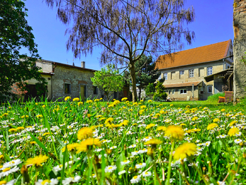 Prodej domu 230 m², Libočany