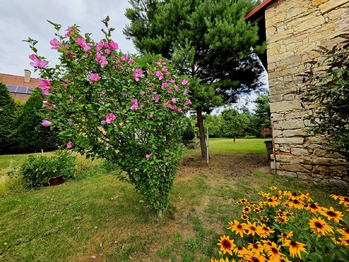 Prodej domu 230 m², Libočany