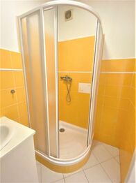 Pronájem bytu 1+1 v osobním vlastnictví 38 m², Plzeň