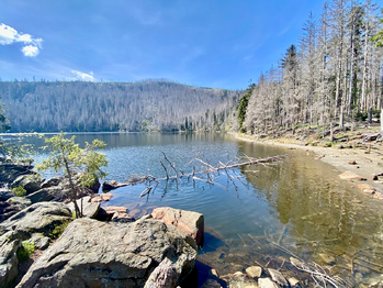 Prodej domu 240 m², Železná Ruda