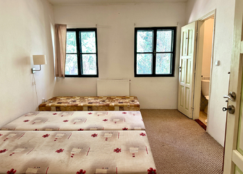 Prodej pozemku 15757 m², Železná Ruda