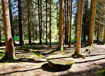 Prodej pozemku 15757 m², Železná Ruda