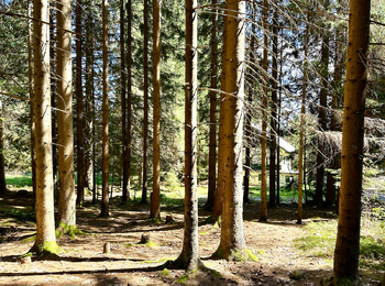 Prodej pozemku 15757 m², Železná Ruda