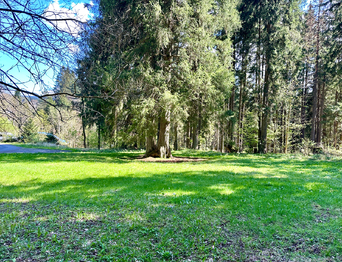 Prodej pozemku 15757 m², Železná Ruda