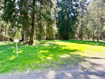 Prodej pozemku 15757 m², Železná Ruda