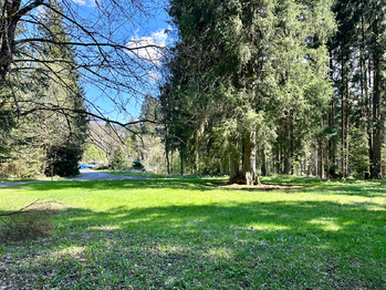 Prodej pozemku 15757 m², Železná Ruda