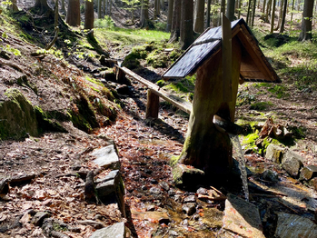 Prodej pozemku 15757 m², Železná Ruda