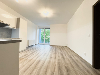 Pronájem bytu 2+kk v osobním vlastnictví 54 m², Milovice