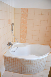 Pronájem bytu 2+1 v osobním vlastnictví 55 m², Plzeň