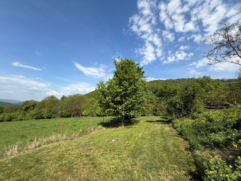 Prodej pozemku 1249 m², Hlinná