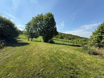 Prodej pozemku 1249 m², Hlinná