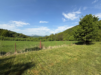 Prodej pozemku 1249 m², Hlinná