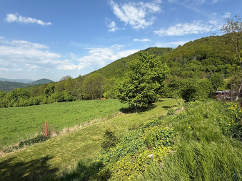 Prodej pozemku 1249 m², Hlinná