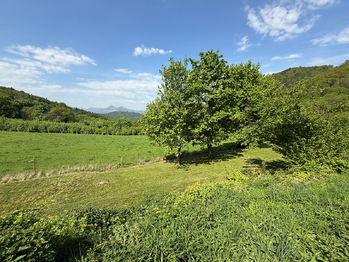 Prodej pozemku 1249 m², Hlinná