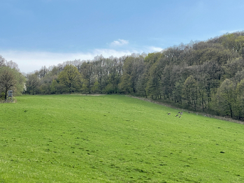 Okolí  - Prodej pozemku 1249 m², Hlinná