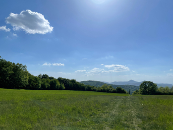 Okolí  - Prodej pozemku 1249 m², Hlinná