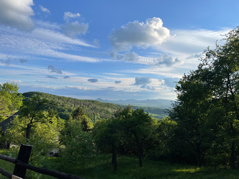 Okolí  - Prodej pozemku 1249 m², Hlinná