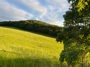 Okolí  - Prodej pozemku 1249 m², Hlinná