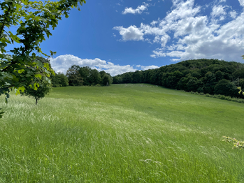 Okolí  - Prodej pozemku 1249 m², Hlinná