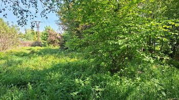 Prodej pozemku 46126 m², Ostrava