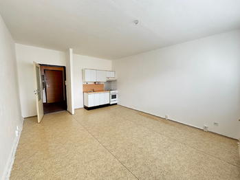 Prodej bytu 1+kk v družstevním vlastnictví 29 m², Havířov