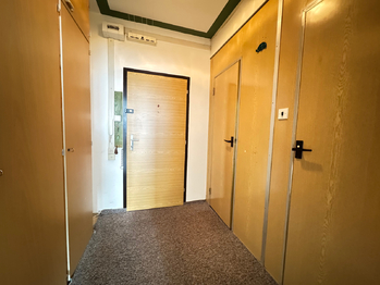 Prodej bytu 1+kk v družstevním vlastnictví 29 m², Havířov