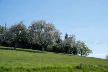 Prodej pozemku 1654 m², Liptál