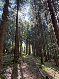 Prodej chaty / chalupy 110 m², Turzovka