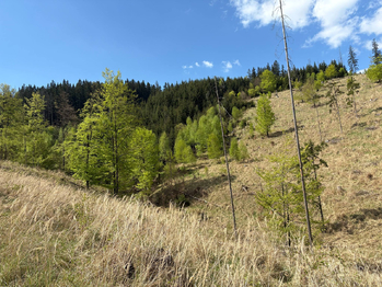 Prodej chaty / chalupy 110 m², Turzovka