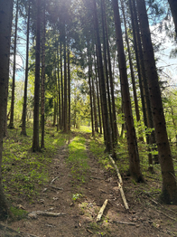 Prodej chaty / chalupy 110 m², Turzovka