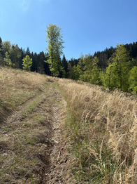 Prodej chaty / chalupy 110 m², Turzovka